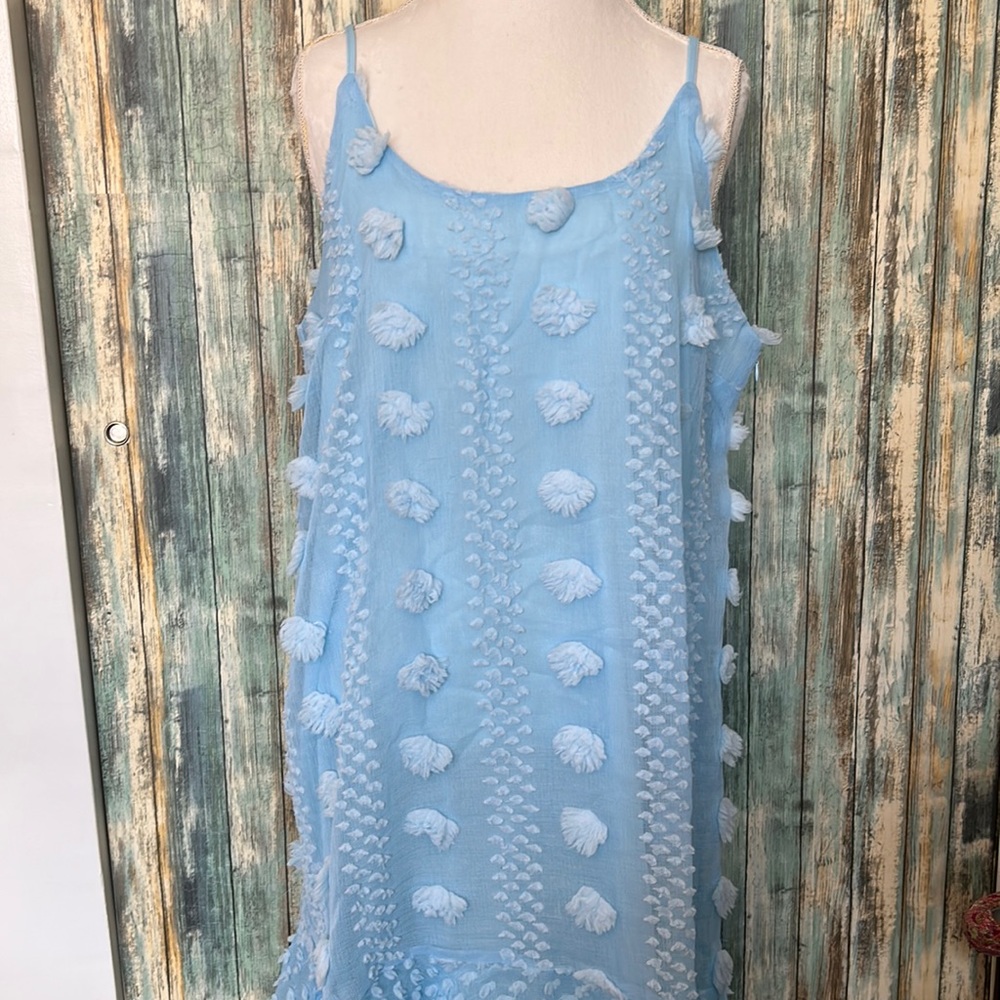 BNWOT Sky Blue Boho Dress